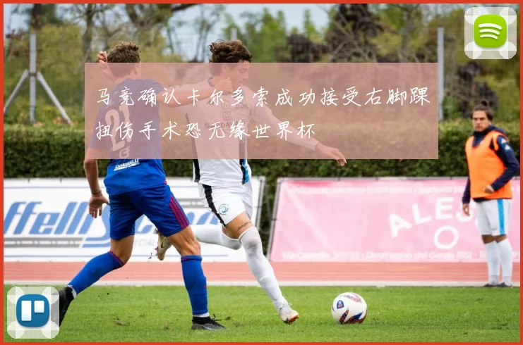 马竞确认卡尔多索成功接受右脚踝扭伤手术恐无缘世界杯
